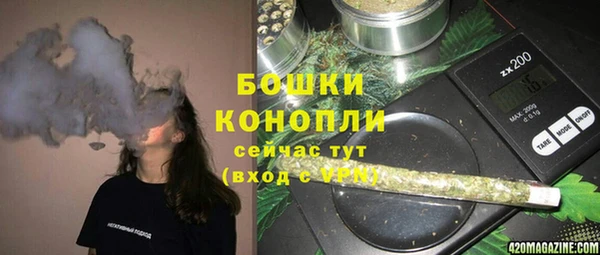дмт Аркадак