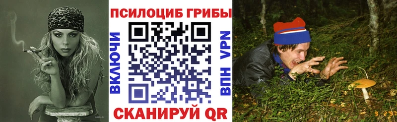 Галлюциногенные грибы прущие грибы хочу Сокол