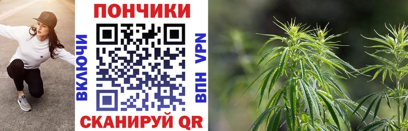 блэк спрут онион  Сокол  Бошки Шишки планчик 